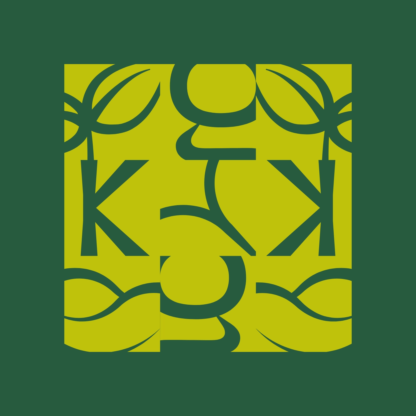 gemeente-kapelle-iconen-patroon-groen-case-blackdesk