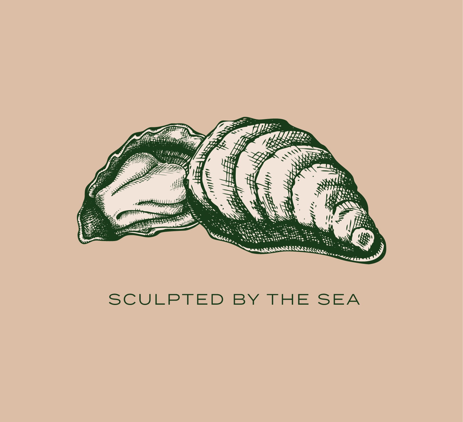 Sculpted by the sea - slogan - lima oyster