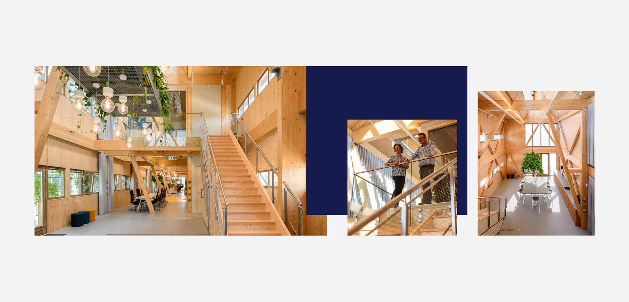 Bergh Bouw Magazine Case design